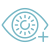 Vision Icon